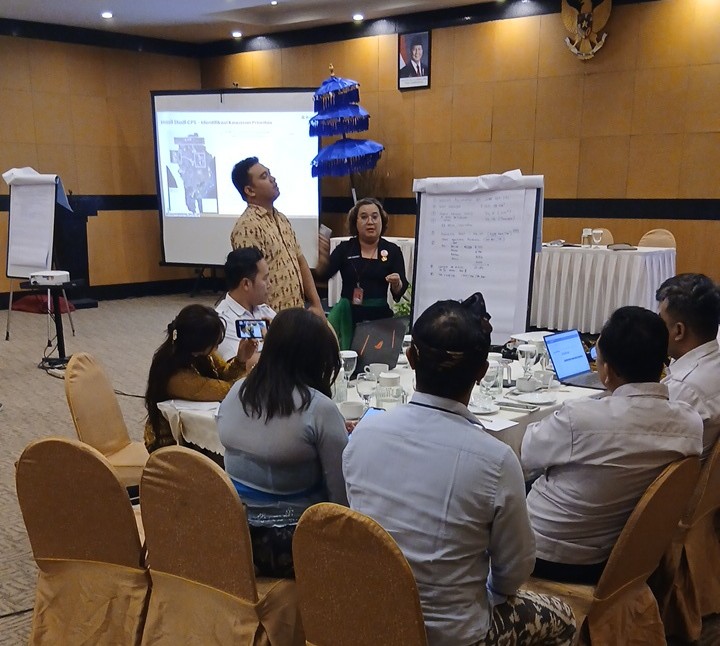 Denpasar Priority Areas